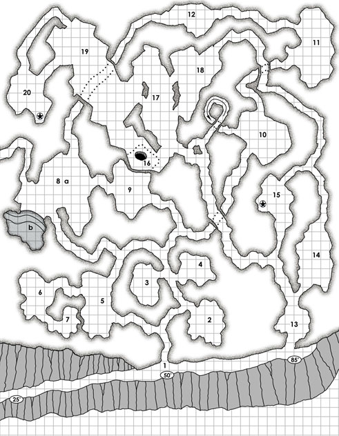 D&D cave map
