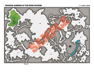 Fungoid Caverns of the Bone Invoker Cavern Map