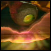 Doctor Who Avatar