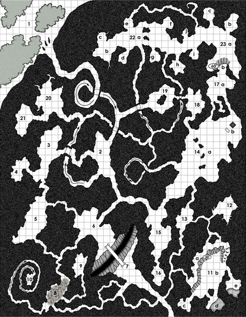 D&D cavern map