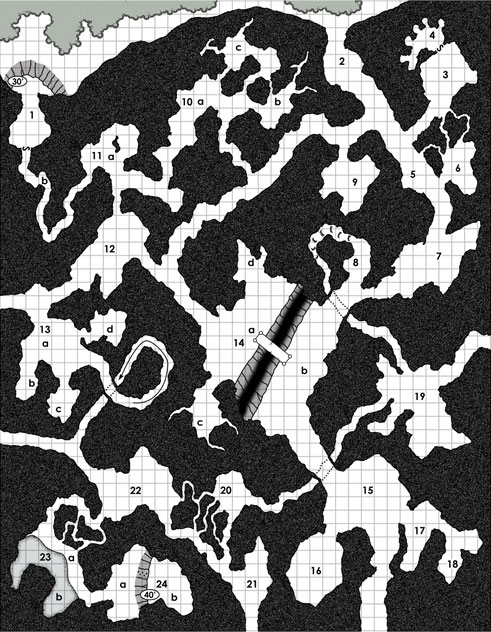 D&D dungeon map