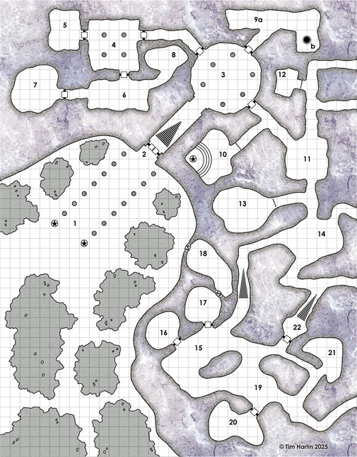 free D&D dungeon map