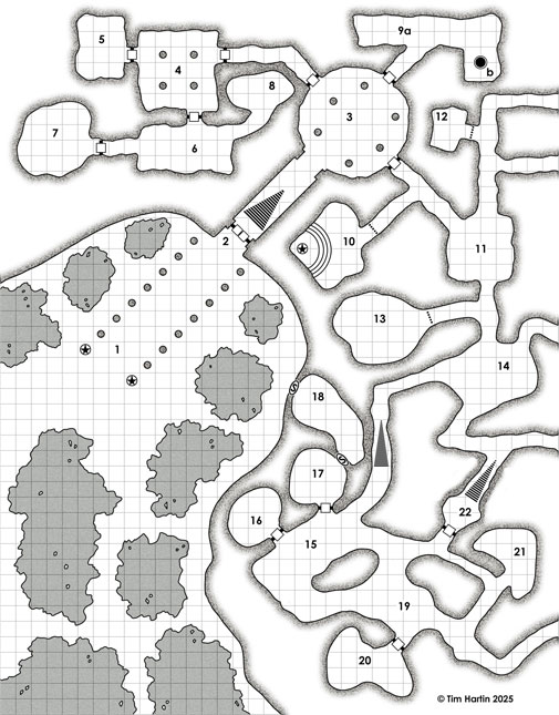 free D&D dungeon map