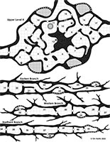 Free D&D dungeon map